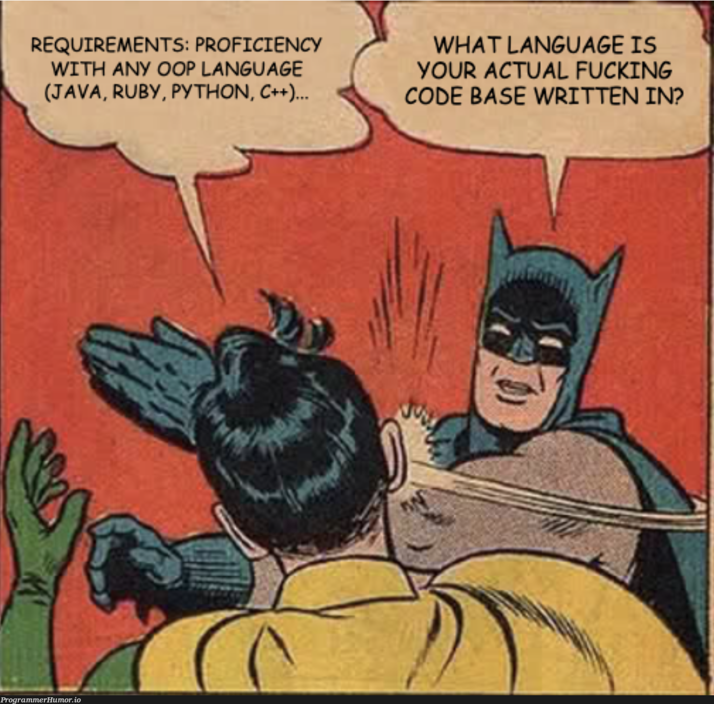 I'm glad you're open to hiring devs with experience in any language, but I don't want to work in just any language! | code-memes, java-memes, python-memes, c++-memes, requirements-memes, devs-memes, ruby-memes, oop-memes, language-memes | ProgrammerHumor.io