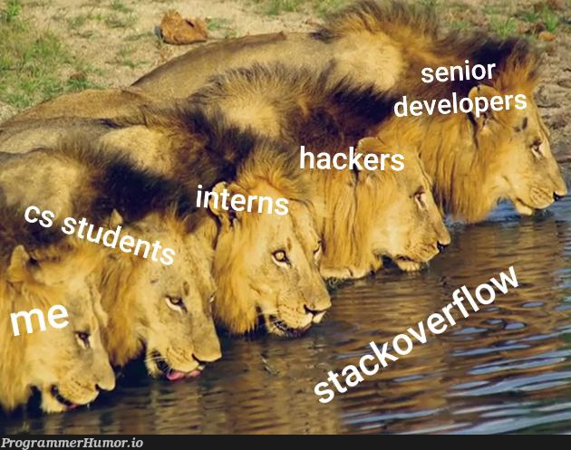 We're all the same...! | ProgrammerHumor.io