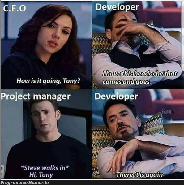 C.E.O | ProgrammerHumor.io