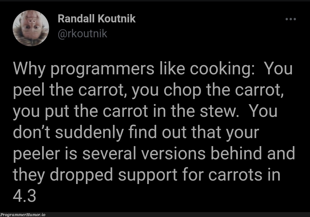 Why programmers like cooking | programmer-memes, program-memes, version-memes | ProgrammerHumor.io