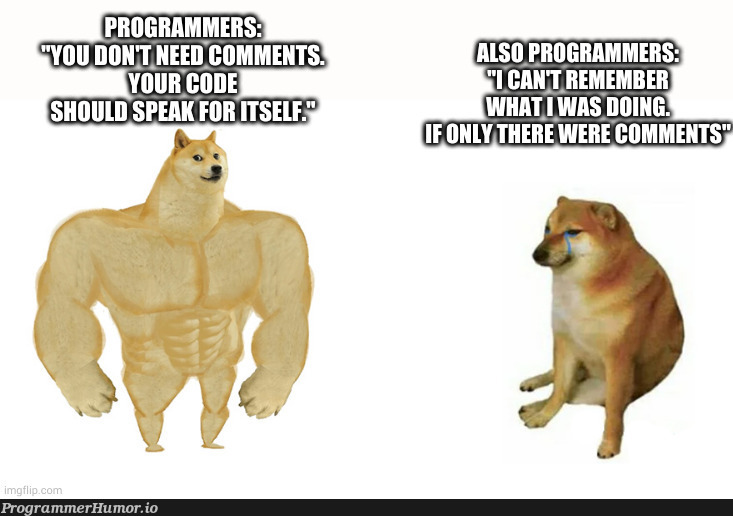 /* This is a comment */ | comment-memes | ProgrammerHumor.io