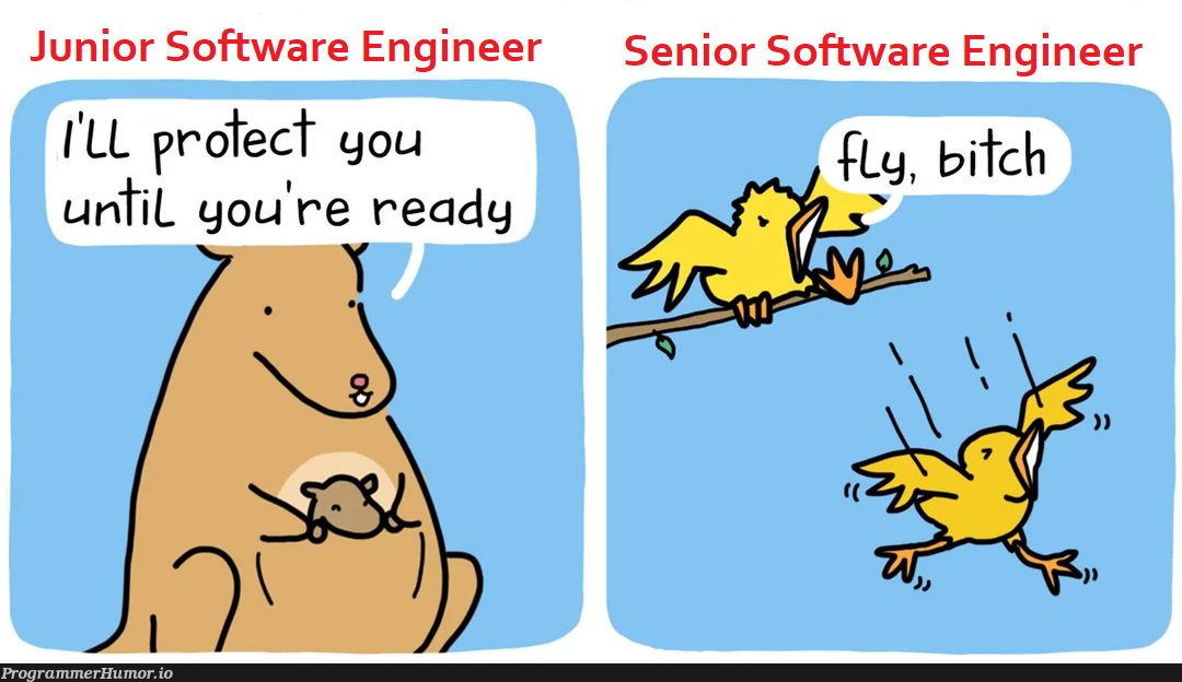 When you join a new project... | software-memes, engineer-memes, software engineer-memes | ProgrammerHumor.io