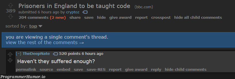 Teaching prisoners programming | programming-memes, code-memes, program-memes, rest-memes, crypto-memes, ide-memes, comment-memes | ProgrammerHumor.io
