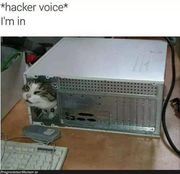 Another rare picture of people from r/hacking | hacker-memes, hacking-memes | ProgrammerHumor.io