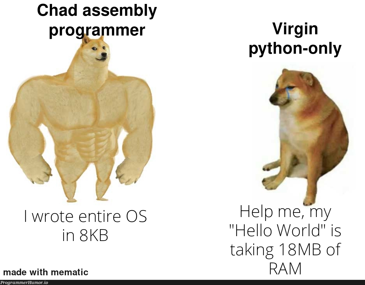 Assembly - my love | programmer-memes, python-memes, program-memes, assembly-memes | ProgrammerHumor.io