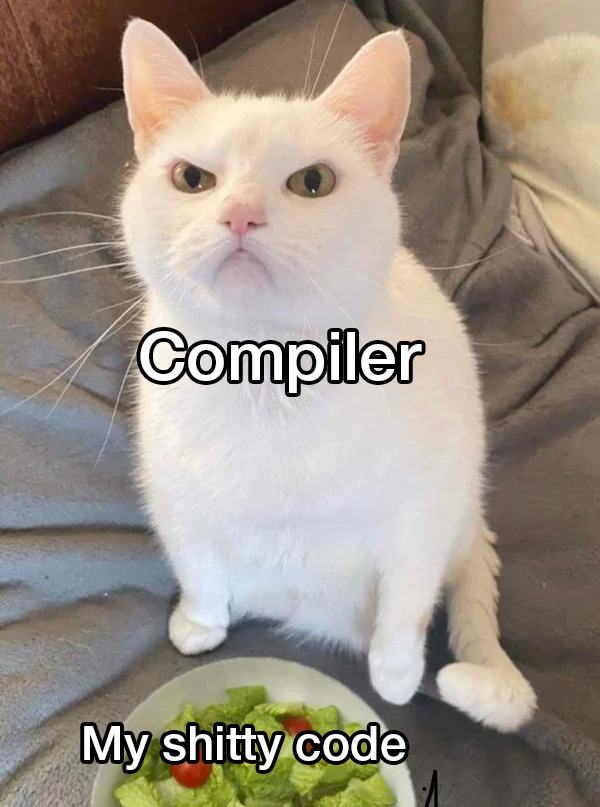 My compiler is gonna kill itself soon | compiler-memes | ProgrammerHumor.io