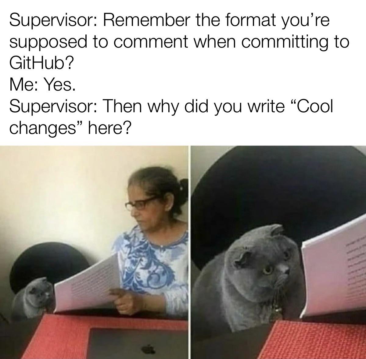 That was a bug, not me.. | bug-memes, git-memes, github-memes, comment-memes | ProgrammerHumor.io