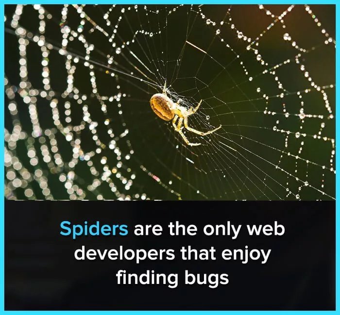 Even though it's fun fixing bugs | developer-memes, web developer-memes, web-memes, bugs-memes, bug-memes, fix-memes, ide-memes | ProgrammerHumor.io