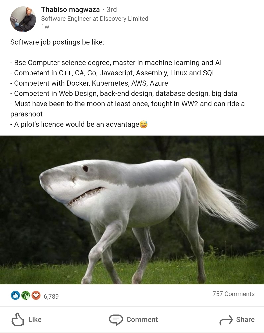Shark Horse Memes Shark Horse Memes