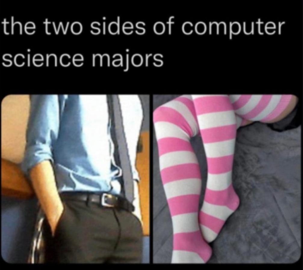 Which one should I be? | computer-memes, computer science-memes, ide-memes | ProgrammerHumor.io