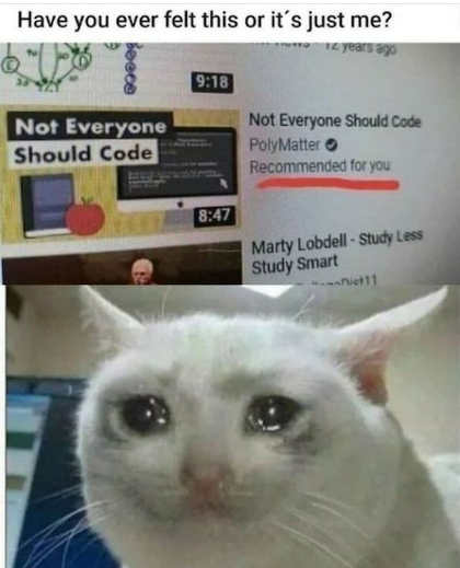 Right in the feels | code-memes, IT-memes | ProgrammerHumor.io