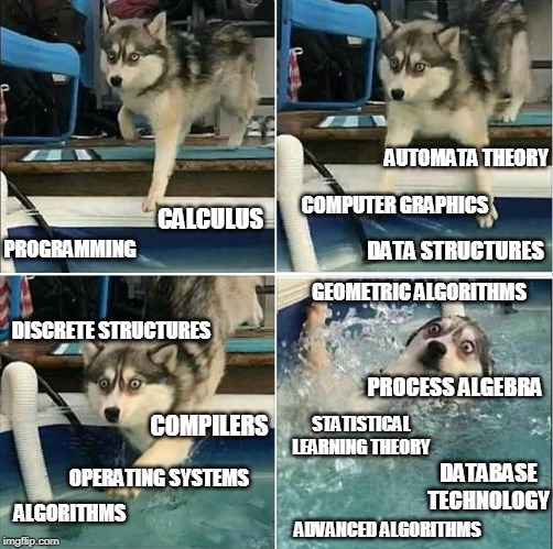 My CS university journey so far... | cs-memes | ProgrammerHumor.io