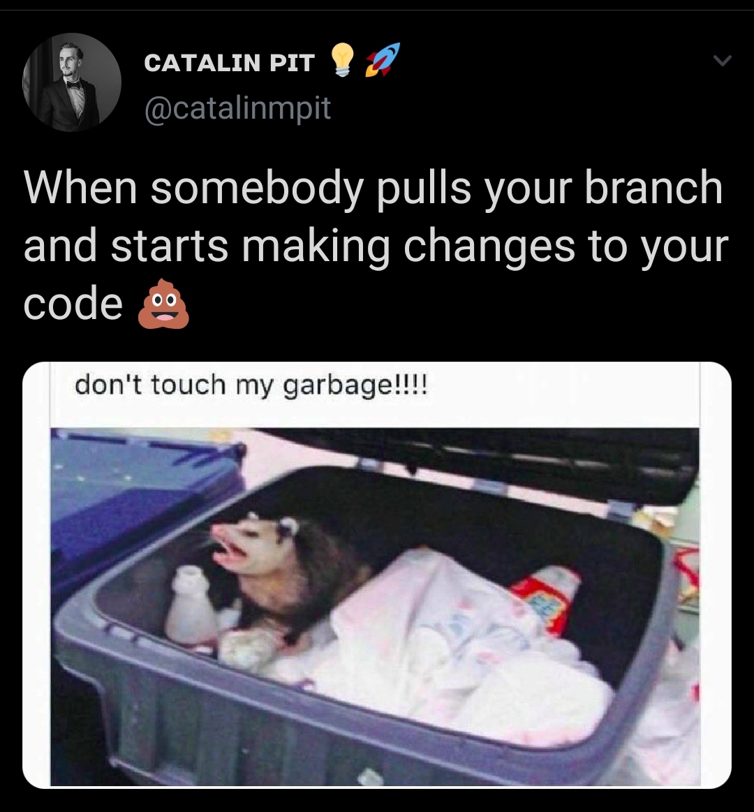 "Don't touch my garbage!" | ProgrammerHumor.io