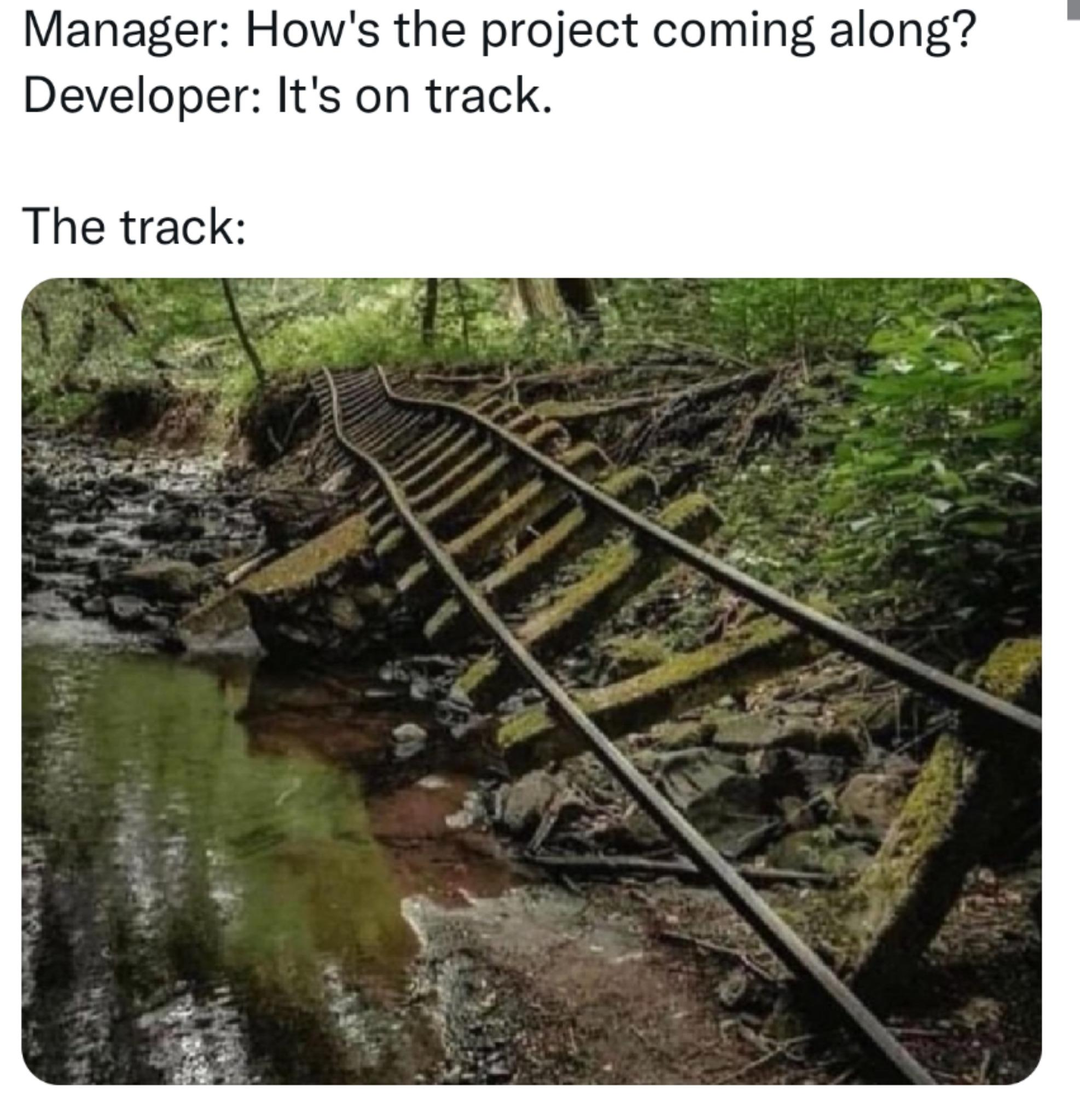 It is known | developer-memes, IT-memes, manager-memes | ProgrammerHumor.io