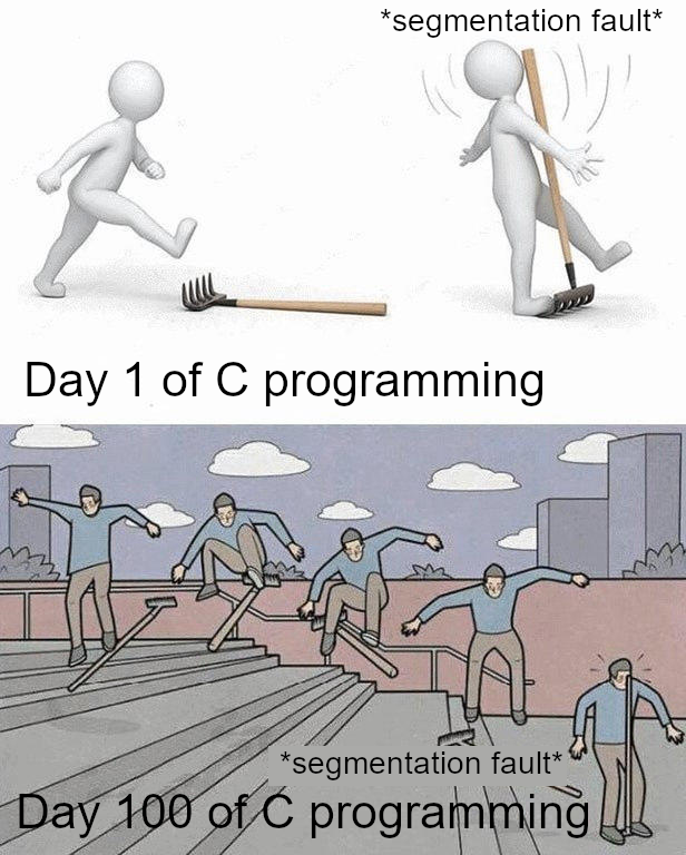 C Programming | programming-memes, program-memes, c-memes | ProgrammerHumor.io