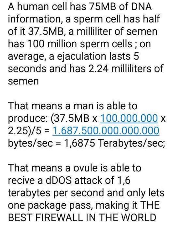 that’s a lot of information to swallow. | IT-memes | ProgrammerHumor.io