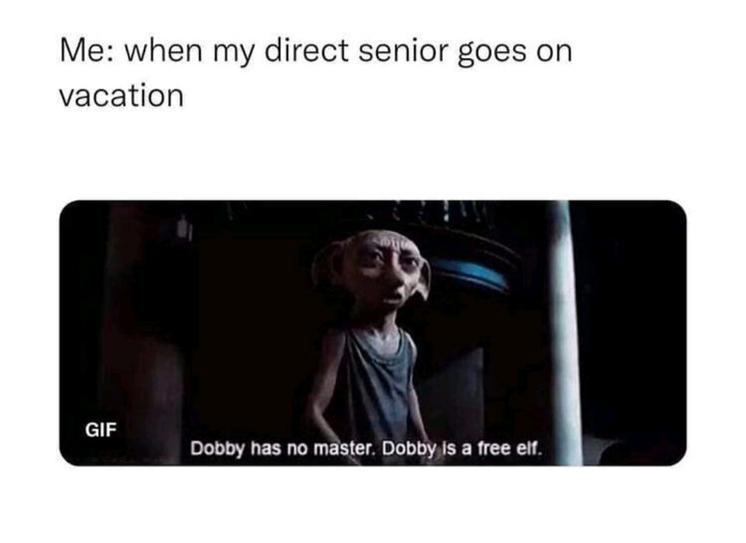 Dobby me | ProgrammerHumor.io