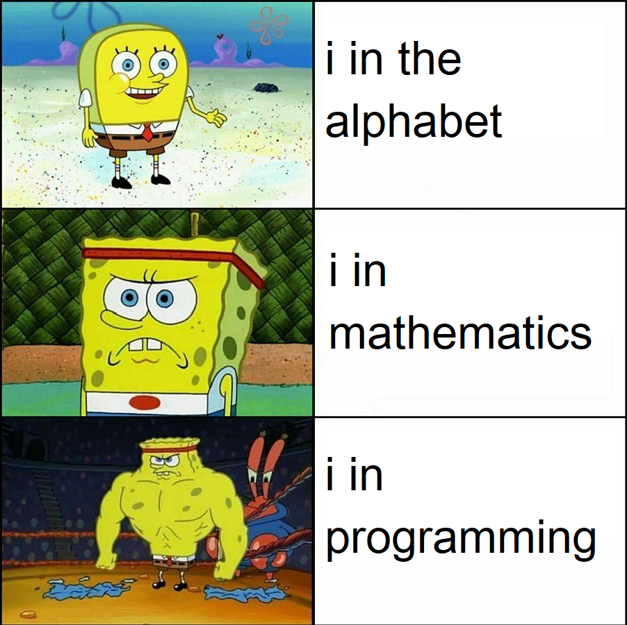 int i | programming-memes, program-memes, cs-memes | ProgrammerHumor.io