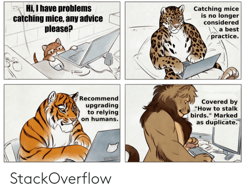 StackOverMeow | stackoverflow-memes, stack-memes, catch-memes, overflow-memes, rds-memes | ProgrammerHumor.io