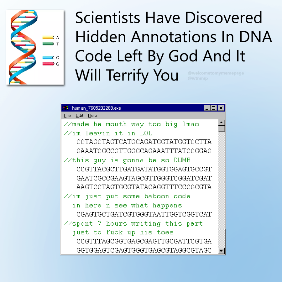 Scientists have discovered hidden annotations in DNA code left by God and it will terrify you | code-memes, c-memes, IT-memes | ProgrammerHumor.io