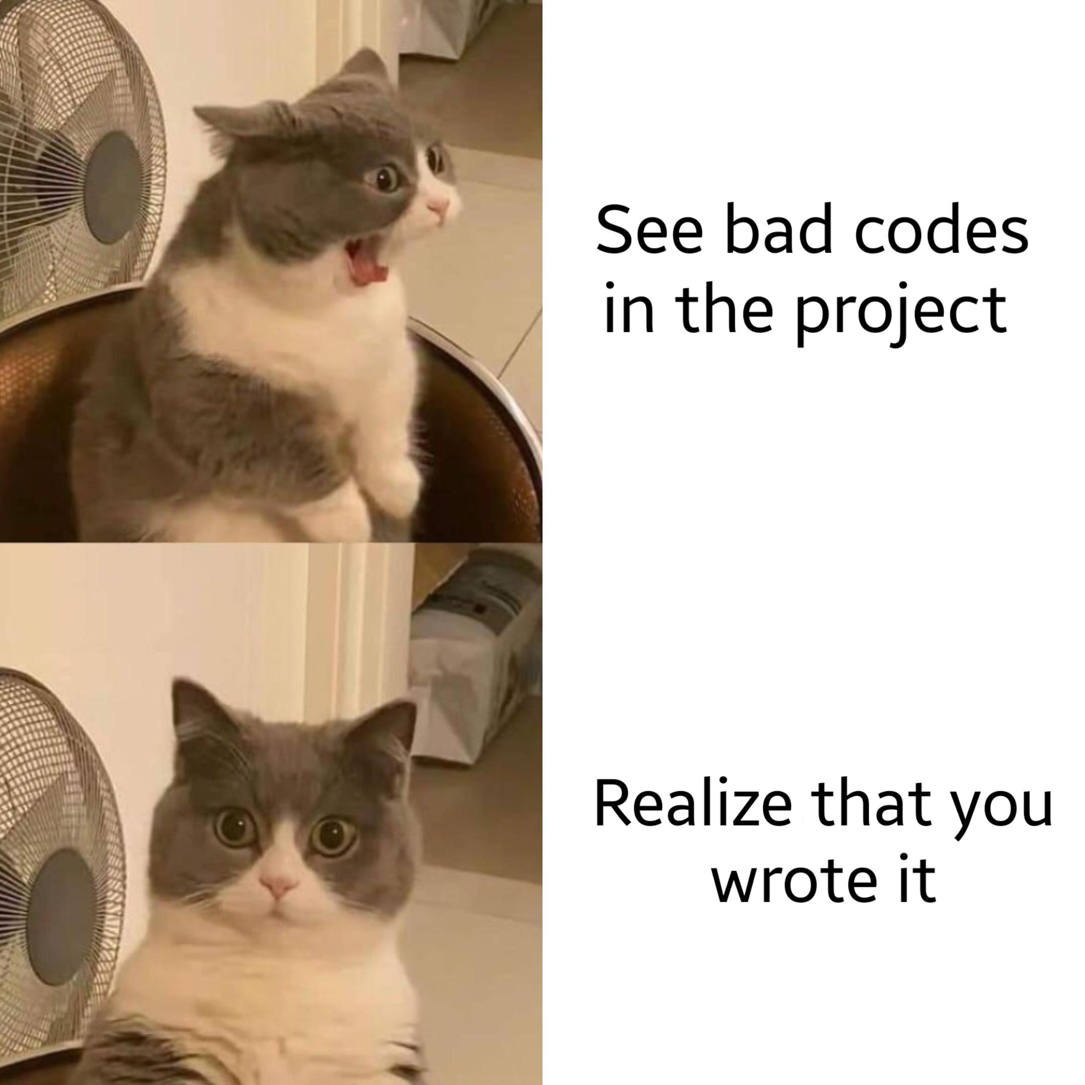 We've all been there right? | c-memes | ProgrammerHumor.io