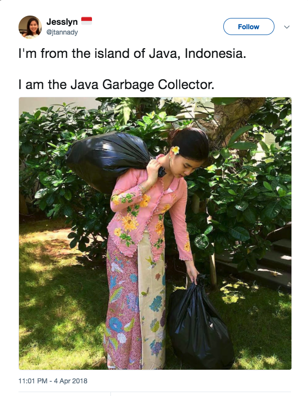 Java GC in the Young Generation | java-memes, ssl-memes | ProgrammerHumor.io