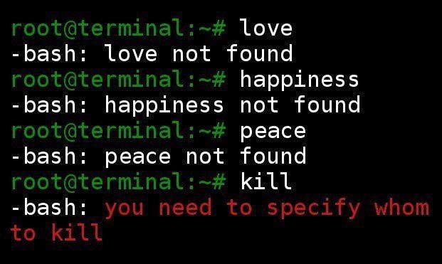 Terminal in USA school | terminal-memes, bash-memes | ProgrammerHumor.io