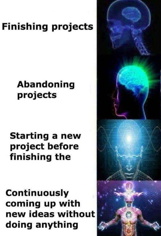 Working on personals projects like... | idea-memes, ide-memes | ProgrammerHumor.io