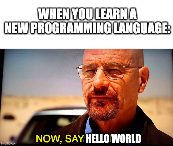 Everyone does that, I guess. | programming-memes, program-memes, language-memes, programming language-memes | ProgrammerHumor.io