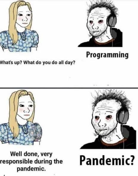 What pandemic ? | programming-memes, program-memes | ProgrammerHumor.io