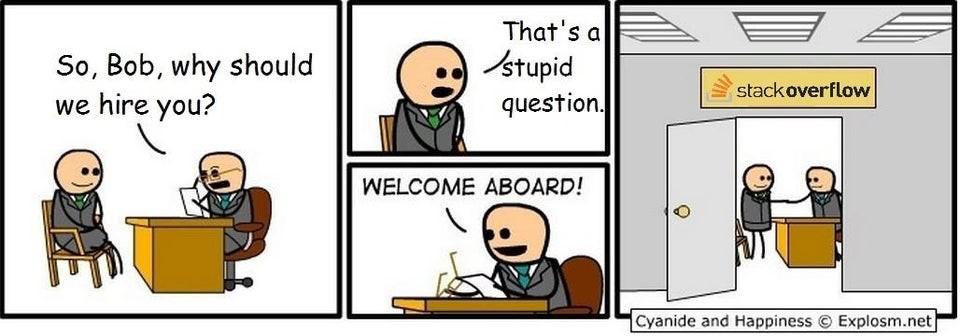 Assume that SO employees also answer questions.. | ide-memes | ProgrammerHumor.io