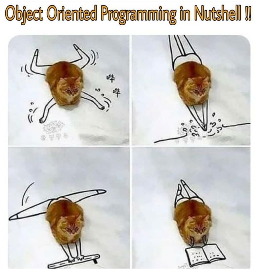 This is what our professor send to our group chat. | programming-memes, program-memes, shell-memes, object-memes | ProgrammerHumor.io