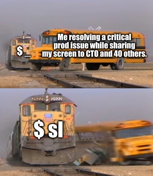 Shouldn't have installed sl. I SHOULD NOT HAVE INSTALLED SL! | ProgrammerHumor.io