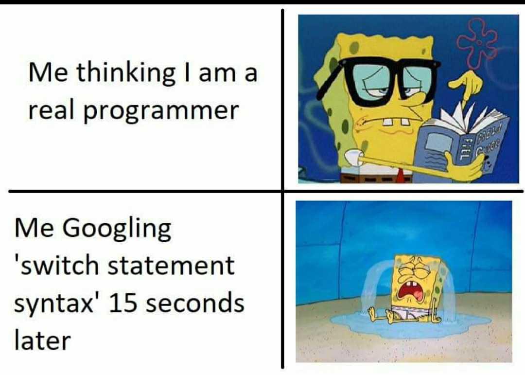 When You Proud to be a Good Programmer | programmer-memes, program-memes | ProgrammerHumor.io