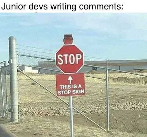 Sometimes I comment like this. | devs-memes, comment-memes | ProgrammerHumor.io