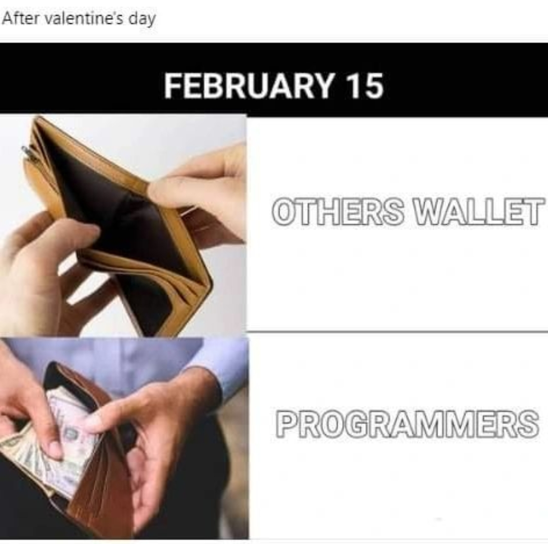 Programmers after valentine. | programmer-memes, program-memes | ProgrammerHumor.io