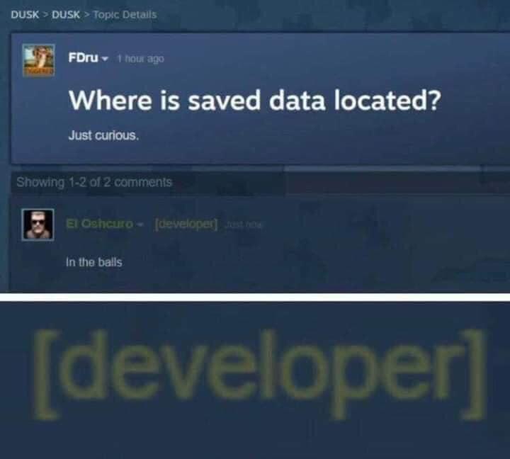 The kind of developer I would be if I could actually develop something | developer-memes, loc-memes, data-memes | ProgrammerHumor.io