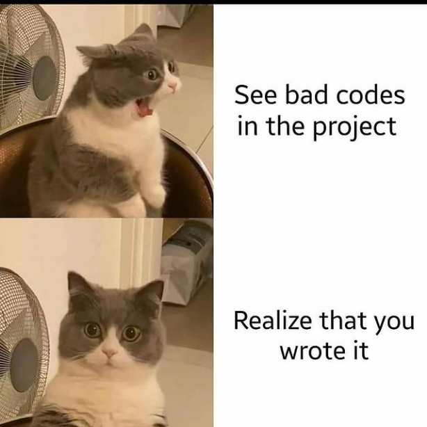 Dang it was me | code-memes, bad code-memes, IT-memes | ProgrammerHumor.io