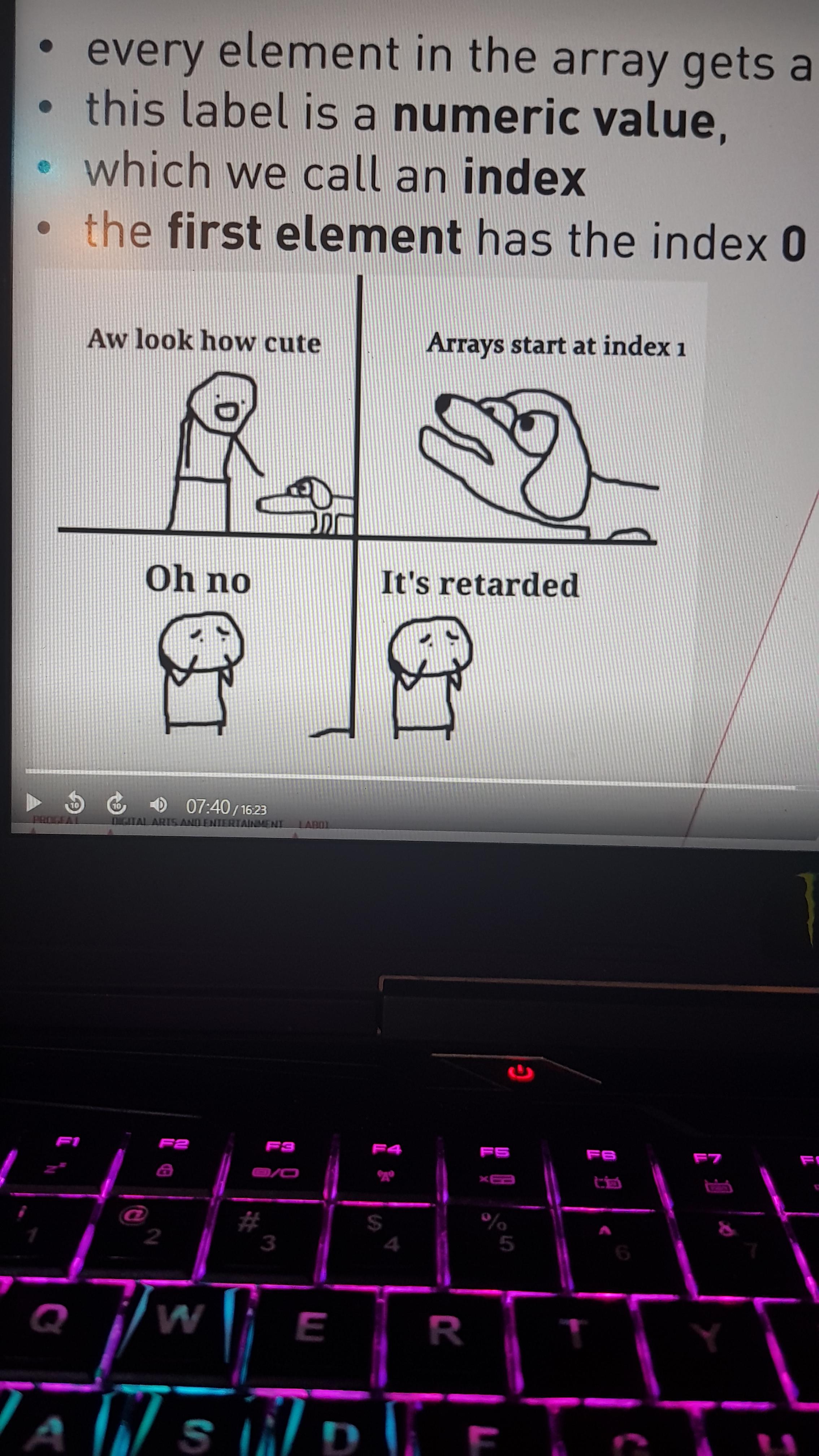 My teacher using memes in a video presentation about programming | programming-memes, program-memes, array-memes, arrays-memes, ide-memes | ProgrammerHumor.io