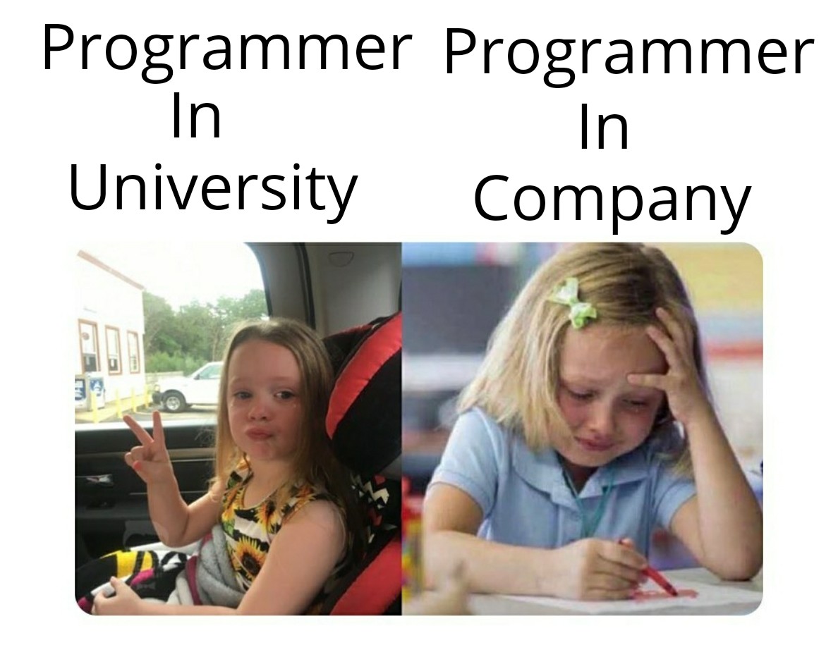 University vs Company | programmer-memes, program-memes | ProgrammerHumor.io