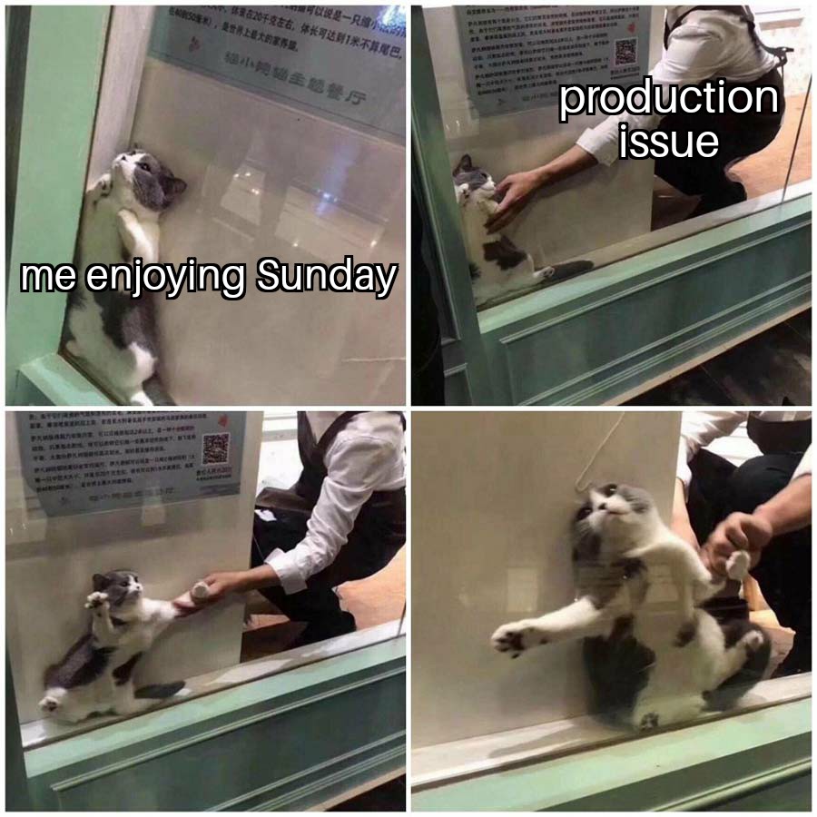 There goes away one more Sunday... | ProgrammerHumor.io