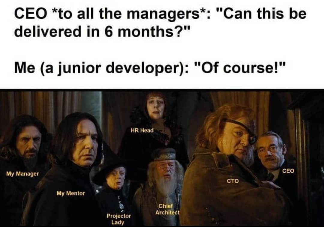 Noob | developer-memes, manager-memes | ProgrammerHumor.io