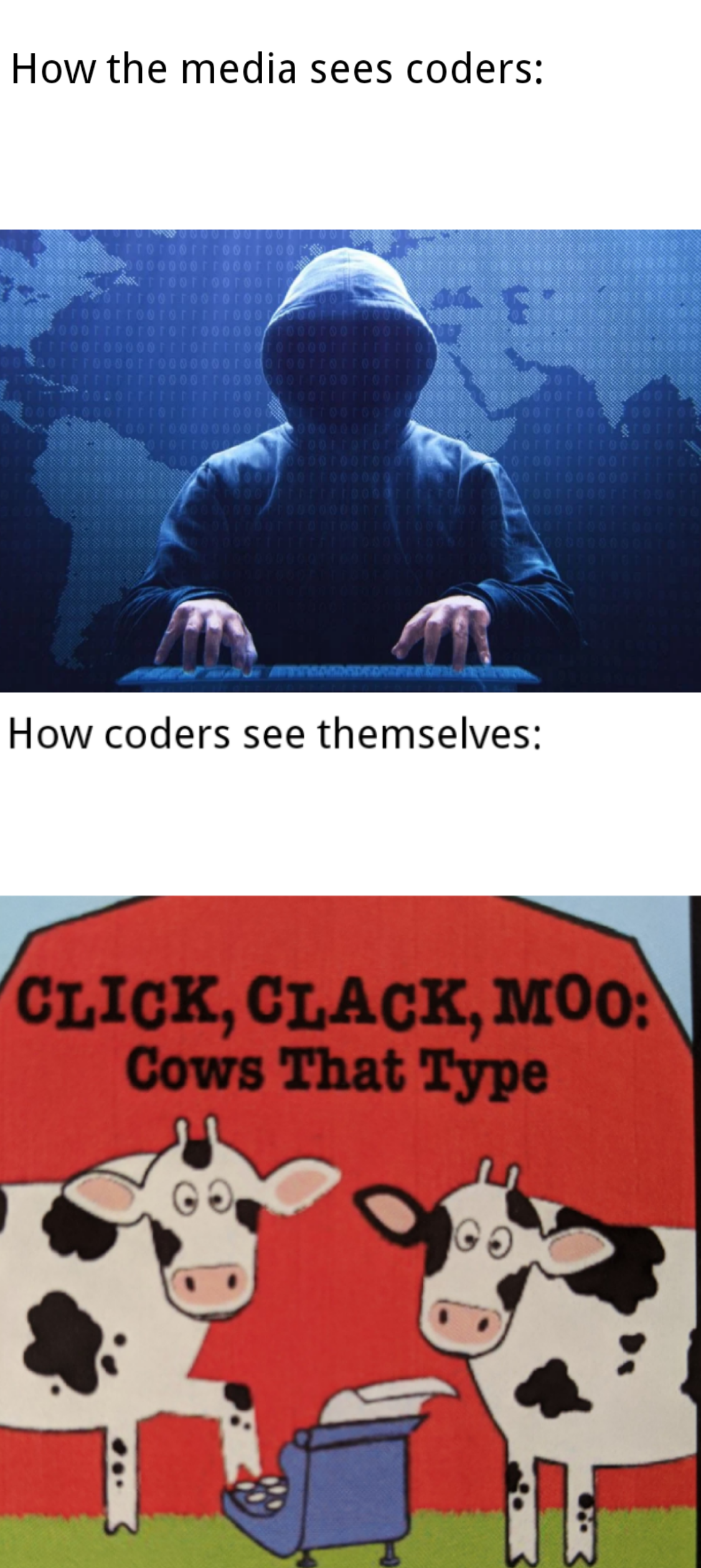 Moo. | code-memes, coder-memes | ProgrammerHumor.io