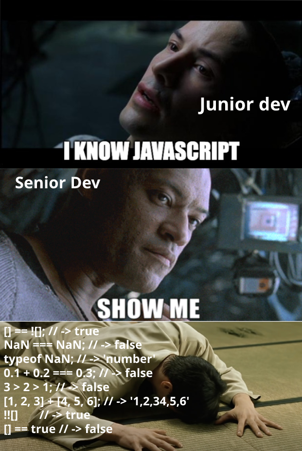 When You Don't Know JS | ProgrammerHumor.io