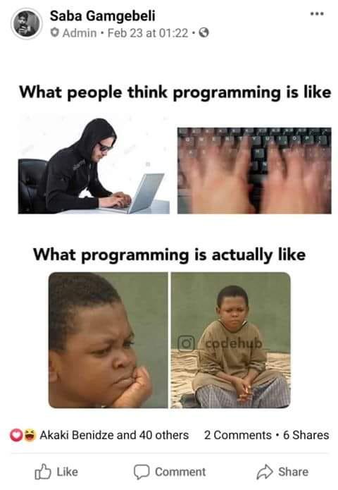 Programming perception vs reality | programming-memes, program-memes, comment-memes | ProgrammerHumor.io