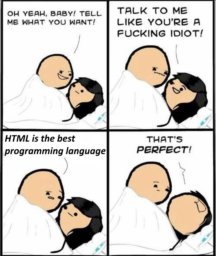 I saw a few memes around this. | programming-memes, html-memes, program-memes, ML-memes, language-memes, programming language-memes | ProgrammerHumor.io