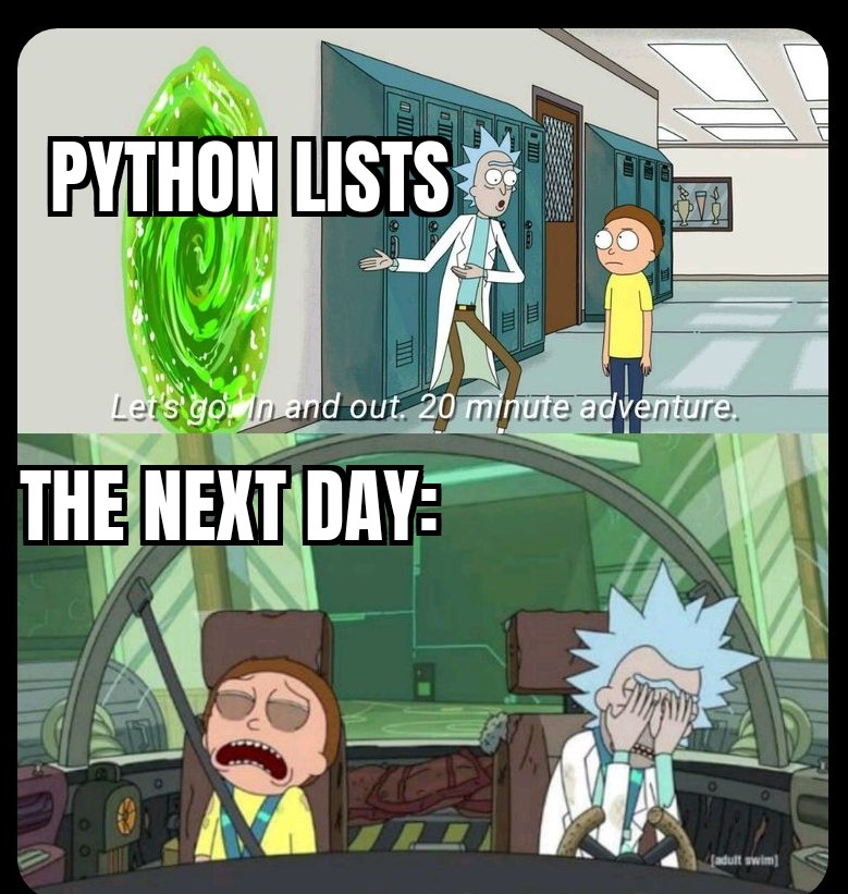 Me as an amateur Python coder right now experimenting with lists: | code-memes, coder-memes, python-memes, list-memes | ProgrammerHumor.io