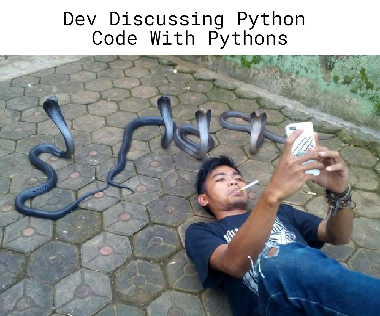 Why Is There ; On Line 24? | code-memes, python-memes | ProgrammerHumor.io