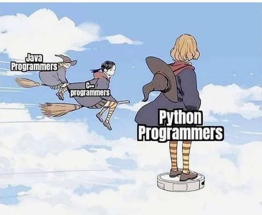 Python programmers be like | programmer-memes, python-memes, program-memes | ProgrammerHumor.io