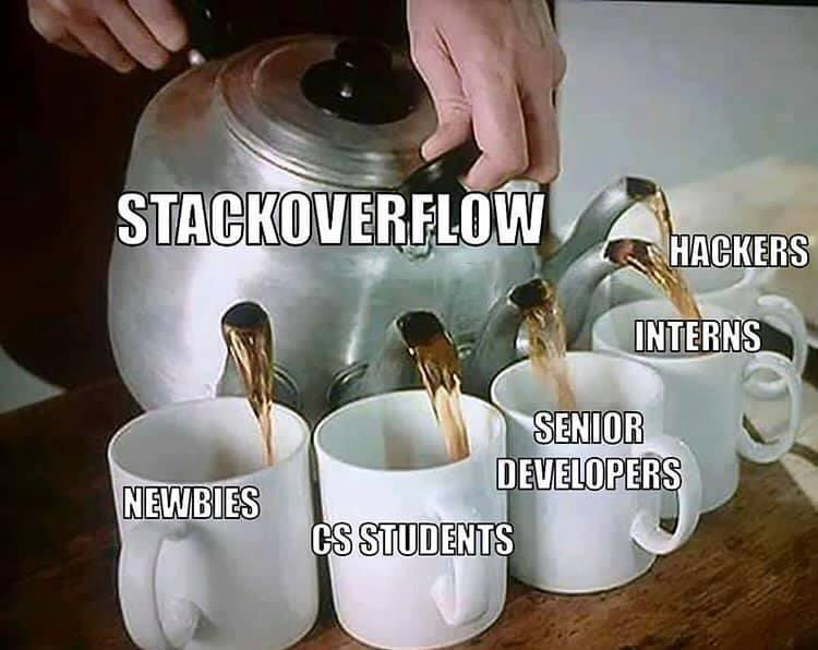 Stackoverflow is for eaveryone | stackoverflow-memes, stack-memes, overflow-memes | ProgrammerHumor.io